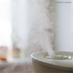 Image Source: https://www.gaiam.com/blogs/discover/why-humidify-and-which-type-of-humidifier-is-best