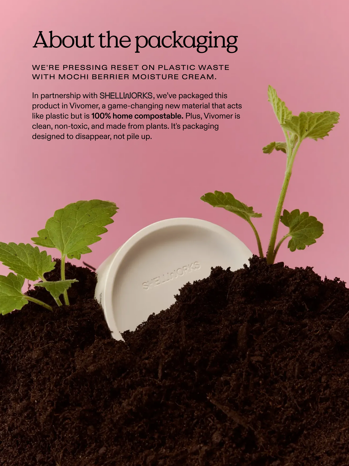 Mochi Berrier Moisture Cream