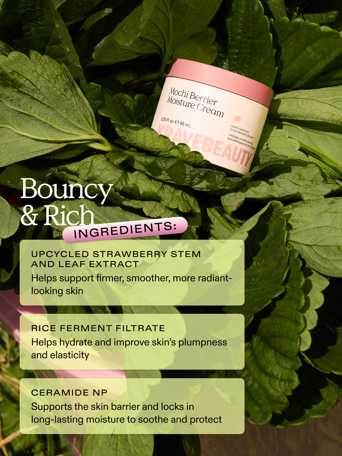 Mochi Berrier Moisture Cream
