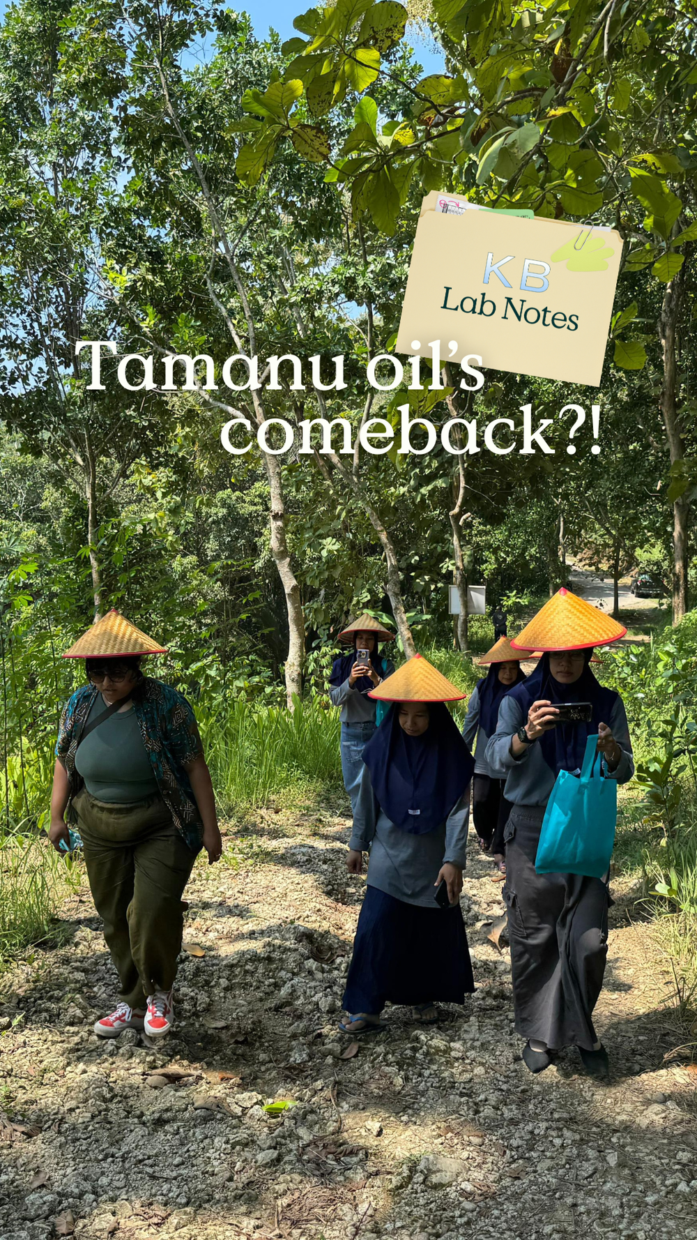 KB lab note: Tamanu Oil